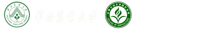 韦德1946APP官网